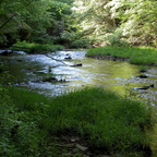 Camp 1: uppper Rock Creek