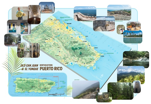 Postcard from Puerto Rico