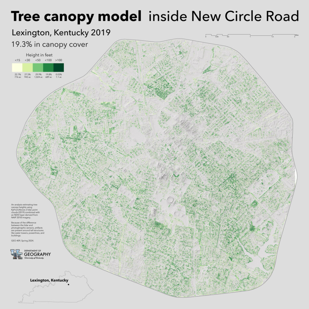 Tree canopy model
